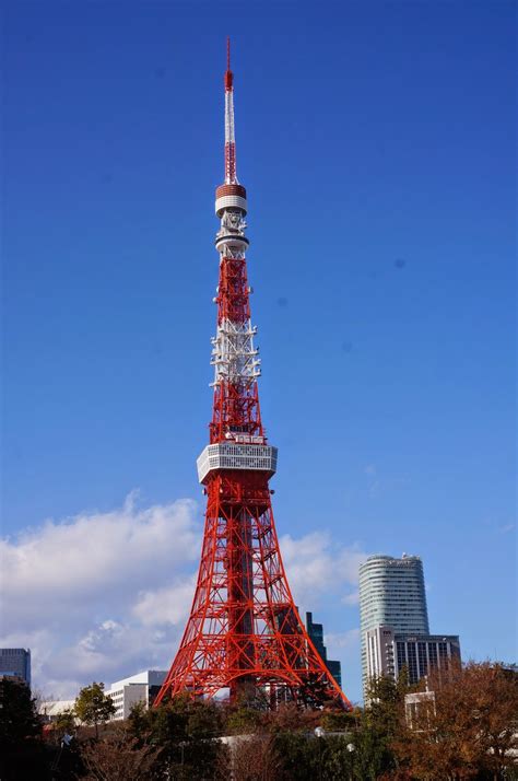 東京タワー ドラマとうきょうた